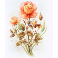 PRINT ROB POHL COLLECTION Peach Rose 4